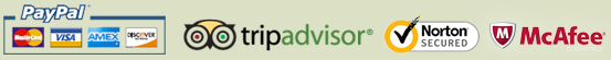 Kasauli Hotels