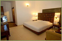 Resorts in Kasauli,Hotel in kasauli