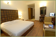 resort in kasauli, hotel in kasauli
